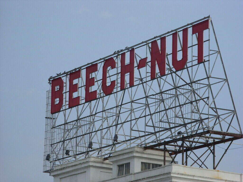Beech-nut